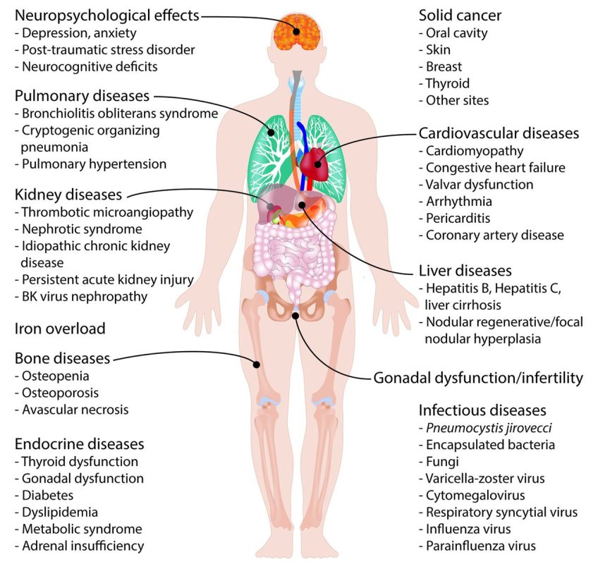 Organ failure following HSCT