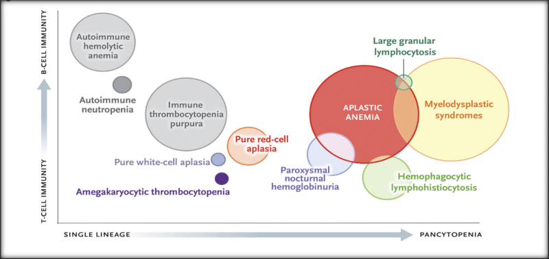 Aplastic anemia