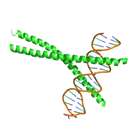 ژن CEBPA CEBPA gene