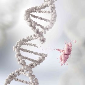MPL gene